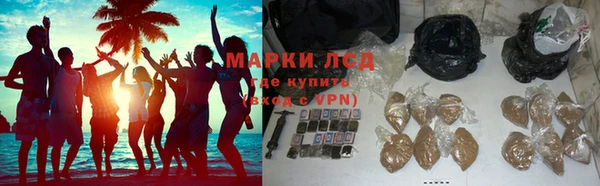 индика Баксан