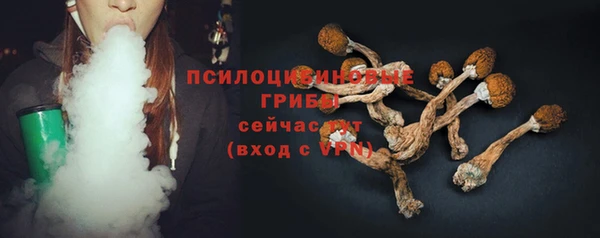 дживик Арсеньев