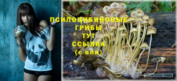 дживик Арсеньев