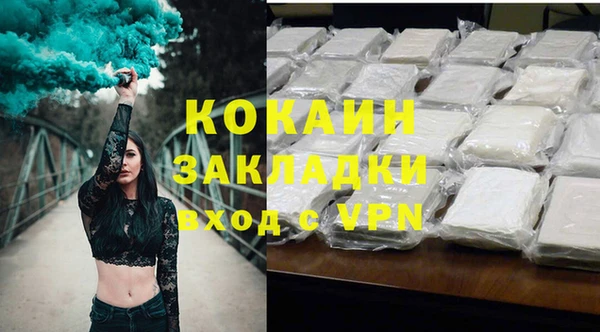 дживик Арсеньев