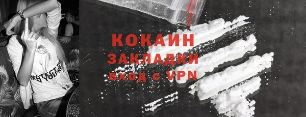 индика Аркадак