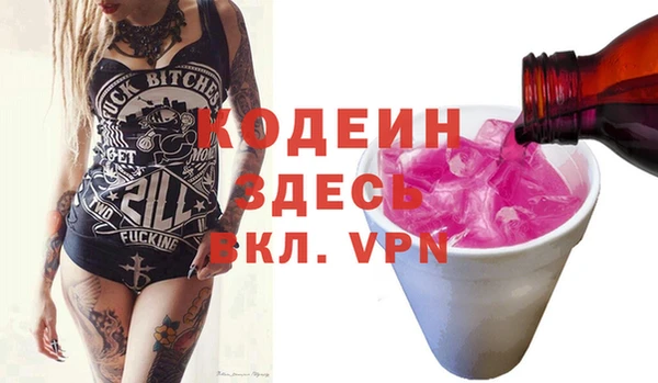 индика Аркадак