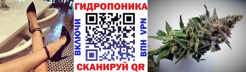 Шишки марихуана сатива  Похвистнево 